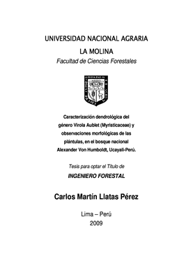 Carlos Martín Llatas Pérez