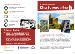 A Sensory Guide to King Edward