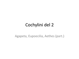 Cochylini Del 2