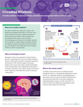 Circadian Rhythms Fact Sheet