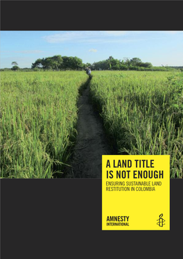 A Land Title Is Not Enough