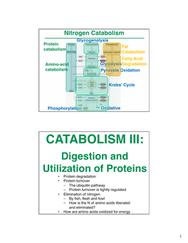 Catabolism Iii