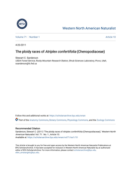 The Ploidy Races of Atriplex Confertifolia (Chenopodiaceae)