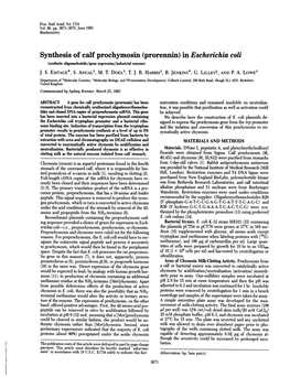 In Escherichia Coli (Synthetic Oligonucleotide/Gene Expression/Industrial Enzyme) J