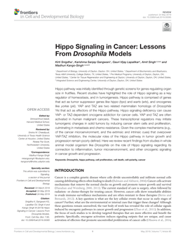 Hippo Signaling in Cancer: Lessons from Drosophila Models