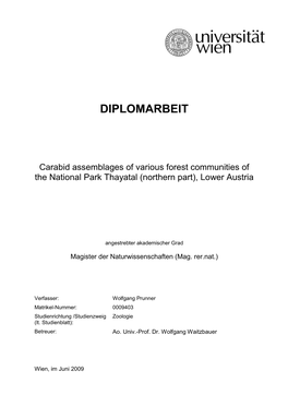 Diplomarbeit