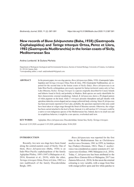 New Records of Biuve Fulvipunctata (Baba, 1938) (Gastropoda