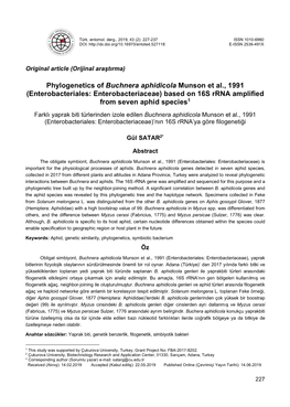 Phylogenetics of Buchnera Aphidicola Munson Et Al., 1991