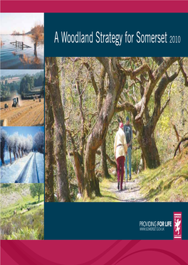 Somerset Woodland Strategy