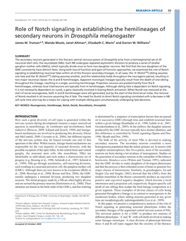 Role of Notch Signaling in Establishing the Hemilineages of Secondary Neurons in Drosophila Melanogaster James W