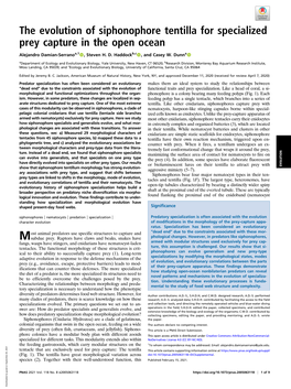 The Evolution of Siphonophore Tentilla for Specialized Prey Capture in the Open Ocean