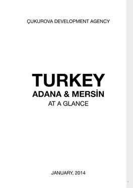 Turkey, Adana and Mersin at a Glance” First Edition