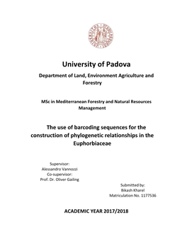 The Use of Barcoding Sequences for the Construction of Phylogenetic Relationships in the Euphorbiaceae