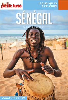 Sénégal CARNET DE VOYAGE