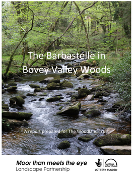 The Barbastelle in Bovey Valley Woods