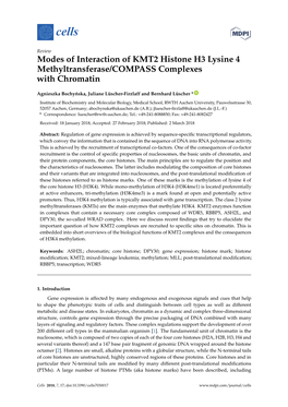 Modes of Interaction of KMT2 Histone H3 Lysine 4 Methyltransferase/COMPASS Complexes with Chromatin