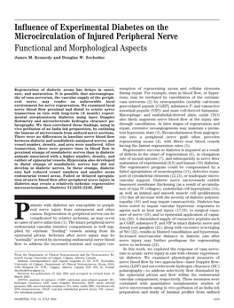 Influence of Experimental Diabetes on the Microcirculation of Injured Peripheral Nerve Functional and Morphological Aspects