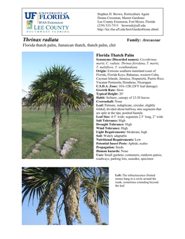 Thrinax Radiata Family: Arecaceae Florida Thatch Palm, Jamaican Thatch, Thatch Palm, Chit