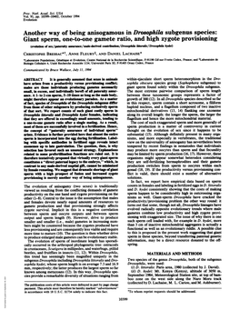 Another Way of Being Anisogamous in Drosophila Subgenus