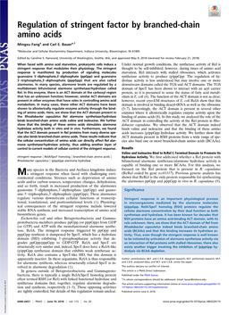 Regulation of Stringent Factor by Branched-Chain Amino Acids