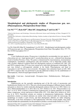 Phaeoseptaceae, Pleosporales) from China