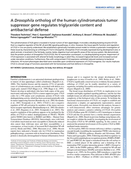 A Drosophila Ortholog of the Human Cylindromatosis Tumor Suppressor