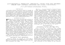 Asterotheca Meriani (Brongn.) Stur and Its Spores from the Upper Triassic of Lunz (Austria)