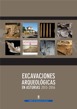 Excavaciones Arqueológicas En Asturias 2013-2016