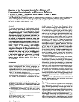 Mutation of the Fumarase Gene in Two Siblings with Progressive Encephalopathy and Fumarase Deficiency T