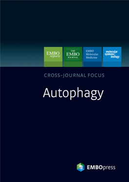 Autophagy -   Autophagy