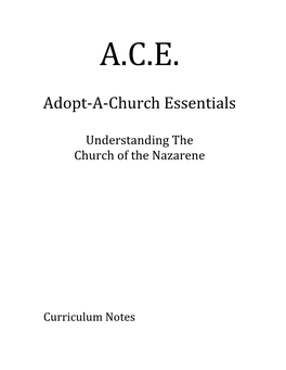 ACE Curriculum