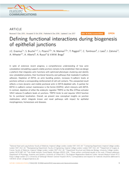 Defining Functional Interactions During Biogenesis of Epithelial Junctions