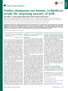 Neither Chimpanzee Nor Human, Ardipithecus Reveals the Surprising Ancestry of Both Tim D