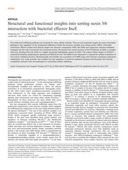 Structural and Functional Insights Into Sorting Nexin 5/6 Interaction with Bacterial Effector Ince