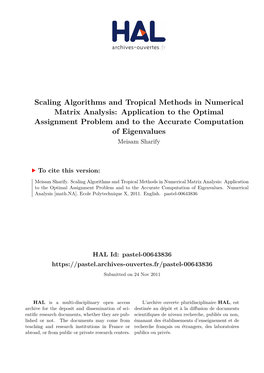 Scaling Algorithms and Tropical Methods in Numerical Matrix Analysis