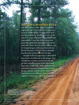 Red Clay Is Amazingly Sticky. Mix Three Inches of Rain with a Georgia Dirt Road Made out of the Stuff, and You Can Lose a Car in It