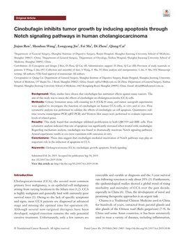 Cinobufagin Inhibits Tumor Growth by Inducing Apoptosis Through Notch Signaling Pathways in Human Cholangiocarcinoma