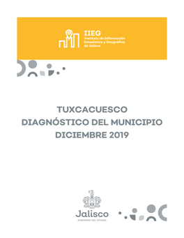 Tuxcacuesco Diagnóstico Del Municipio Diciembre 2019
