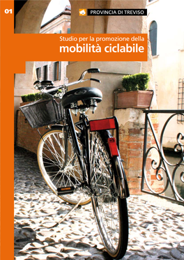 Mobilità Ciclabile Studio Per La Promozione Della Mobilità Ciclabile