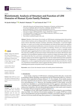 Bioinformatic Analysis of Structure and Function of LIM Domains of Human Zyxin Family Proteins