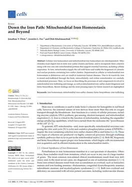 Mitochondrial Iron Homeostasis and Beyond