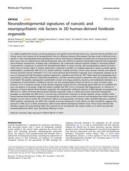 Neurodevelopmental Signatures of Narcotic and Neuropsychiatric Risk Factors in 3D Human-Derived Forebrain Organoids