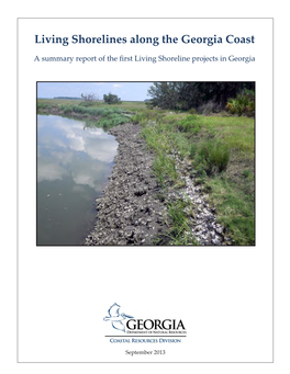 Living Shorelines Along the Georgia Coast