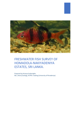 Freshwater Fish Survey of Homadola-Nakiyadeniya Estates, Sri Lanka