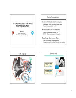 Hearing Loss Epidemic the Hair Cell
