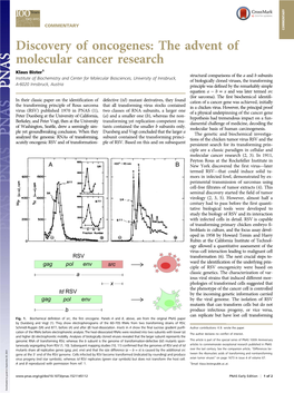 Discovery of Oncogenes: the Advent of Molecular Cancer Research
