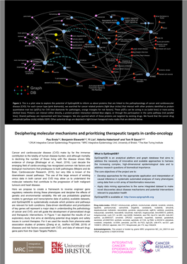 Deciphering Molecular Mechanisms and Prioritizing Therapeutic Targets in Cardio-Oncology