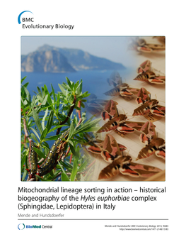 Mitochondrial Lineage Sorting in Action – Historical Biogeography of the Hyles Euphorbiae Complex (Sphingidae, Lepidoptera) in Italy Mende and Hundsdoerfer
