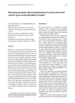 Flowering Dynamics and Seed Production of Arachis Pintoi and Arachis Repens in the Brazilian Cerrados