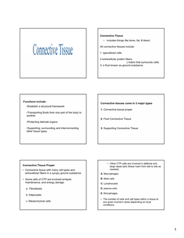 Connective Tissue • Includes Things Like Bone, Fat, & Blood. All